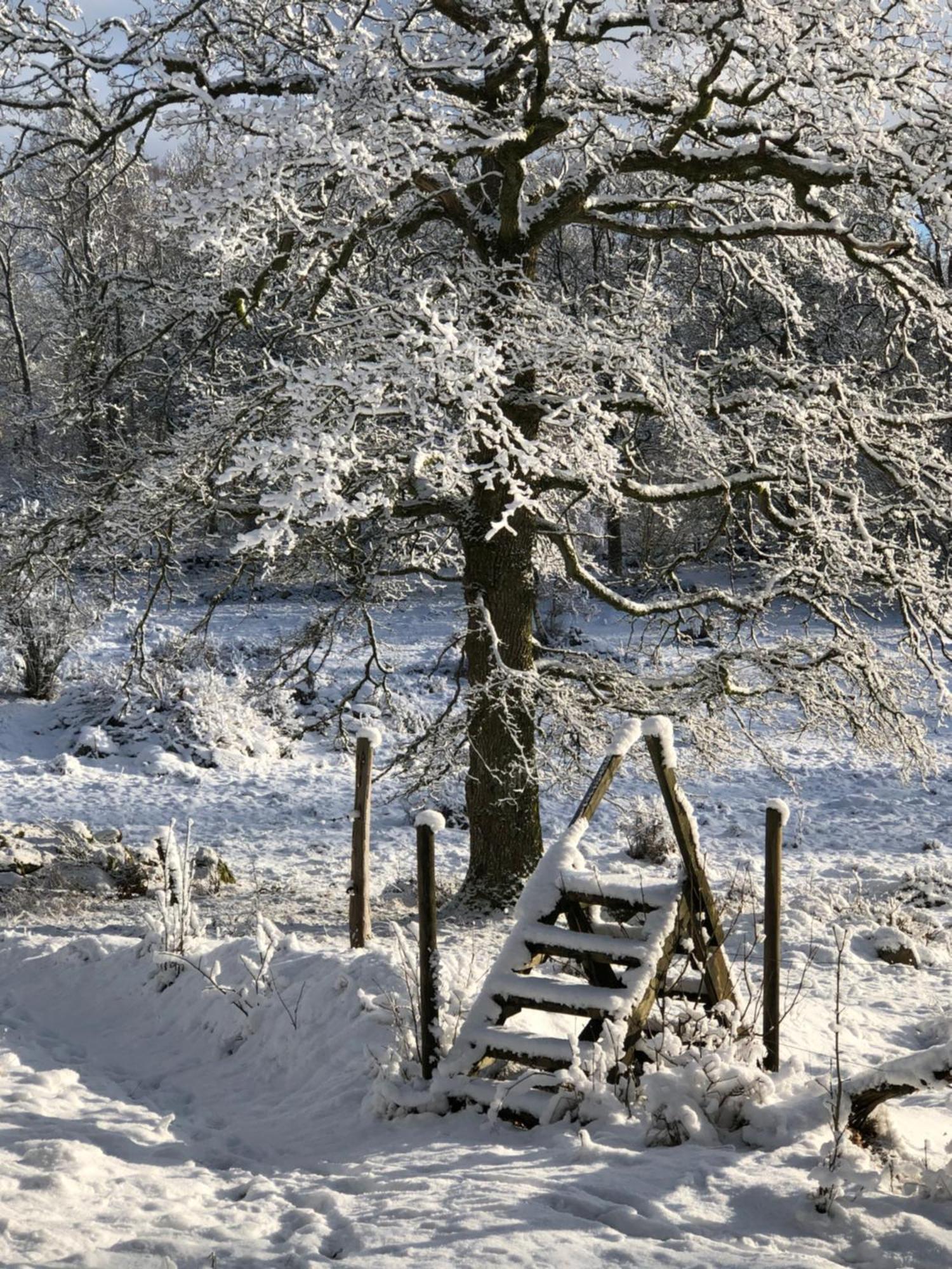 Vila Oevra Berg Ullared Exteriér fotografie